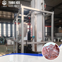 Usine à glace entièrement automatisée de 5 tonnes, machine à fabriquer de la glace en blocs plats et en tubes en Europe