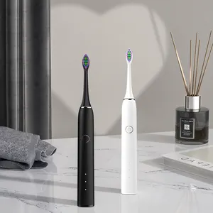 Baolijie SN302 Limpieza bucal Cepillo de dientes eléctrico sónico OEM Etiqueta privada Cepillo de dientes eléctrico inteligente