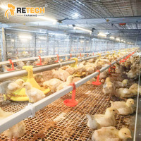 Bonne vente équipement d'élevage de poulets cage de batterie de poulets de chair de type H avec système de récolte automatique