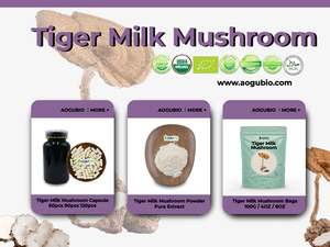 Poudre de <span class=keywords><strong>lait</strong></span> de tigre Aogubio OEM 85g 100g 4oz 8oz avec étiquette privée Lignosus Rhinocerus Poudre de <span class=keywords><strong>lait</strong></span> de tigre biologique - Product Image 2