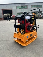 Compacteur à plaque vibrante robuste haute performance 160KG pour la vente de construction équipement de compactage de sol moteur de noyau