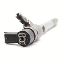 0 445 110 734 0445110734 Inyector de Combustible Common Rail de Alto Rendimiento, Calidad Estable Probada