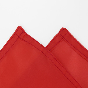 بالجملة جودة عالية مخصص مع نحاسي جرومات 100% بوليستر 3*5 قدم علم اريتريا الوطني علم البلد راية - Product Image 3