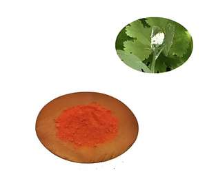 באיכות גבוהה macleaya תמצית 40% אבקת <span class=keywords><strong>sanguinarine</strong></span> - Product Image 3