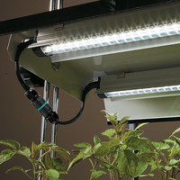 Boîtier de jonction en nylon étanche IP68 à connexion rapide sans vis EW-P25-5P 5 broches 24A 400V pour systèmes solaires et décoration de bâtiments