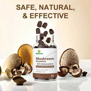 OEM/ODM 10-Plex Champiñón Gomitas | Suplemento vegano de apoyo inmunológico y refuerzo cerebral de 2500mg con melena de León, Reishi, Cordyceps - Product Image 3
