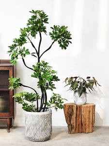 <span class=keywords><strong>Maceta</strong></span> Extra Grande de Estilo Nórdico Retro, de Cemento y Magnesio, para Plantas Verdes de Interior/Exterior - Product Image 4