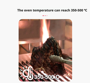 Santa Maria New Design Wood Charcoal Stainless Steel <strong>Firebricks</strong> Argentina Grill Argentine Grill - Product Image 5