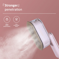 Nouveau mini défroisseur vapeur professionnel pour vêtements, vente en gros usine, portable et délicat, brosse à vapeur de voyage