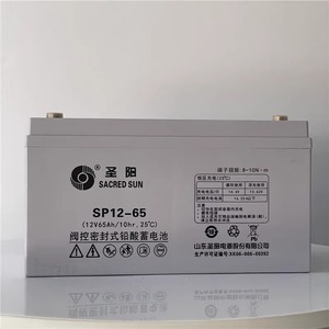 Sacred Sun SP12-100 12V 100Ah VRLA <b>Battery</b> For <b>UPS</b> Power Systems - Product Image 1