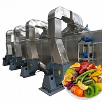Complete 1 ton/uur 2 ton/uur 3 ton/uur lijn voor het wassen, snijden, blancheren, dehydrateren en drogen van verse fruit- en groentechips voor boerderijen
