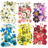 Vente flash : Kits de fleurs séchées pressées pour Halloween, diverses créations artistiques DIY, scrapbooking, résine époxy, moules à bijoux, bougies/savons