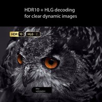 Projecteur Optoma UHD506 3400 lumens ISO, véritable 4K UHD DLP, pour home cinéma, jeux e-sport, petite salle de réunion, utilisation de jour