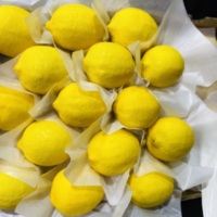 Citron euro frais pour citron, banderole, de chine