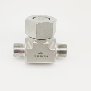 Vanne de retenue Weffluid en acier inoxydable 10 mm, norme américaine, joint rigide, haute pression, pour vapeur, eau et huile - Product Image 1