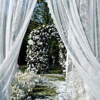 Tissu en dentelle florale romantique en polyester, plusieurs couleurs, taille personnalisée, largeur 280 cm, draperies pour arche de mariage, décoration photo pour événements