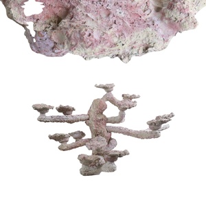 Roccia Porosa in Ceramica per Acquari <span class=keywords><strong>di</strong></span> Barriera Corallina - Product Image 1