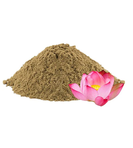 Extracto Seco de Flor de Loto (Nelumbo Nucifera) Premium, Secado por Aspersión y en Bandeja, Extracto Botánico Natural - Product Image 2