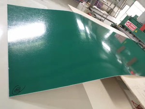 Plaque de gelcoat en plastique renforcé de fibres de verre de 4 mm pour abri de bus - Product Image 4