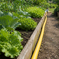Tuyau plat en PVC jaune flexible pour l'irrigation, diamètre intérieur de 1 à 8 pouces, pression de 10 bars, certifié ISO 9001 pour l'arrosage des jardins