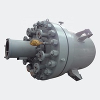 Réacteur horizontal à ammoniac de 500 L avec agitateur et mélangeur multiple