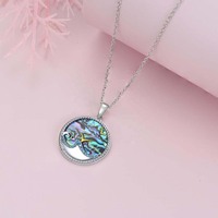 Collier Pendentif Soleil Lune Étoile en Argent Sterling 925, Coquille d'Abalone, Bijoux Œil de Diable pour Femme - Vente en Gros Usine