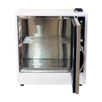 Mini-steamer électrique de bureau DTY, chauffe-serviettes pour le visage et les mains en acier inoxydable de haute qualité, prise US/AU