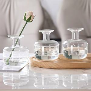 Jarrón de Vidrio Pequeño Soplado a Mano al por Mayor, Diseño Art Deco, Centro de Mesa, Decoración del Hogar, Botella para Hidroponía - Product Image 4