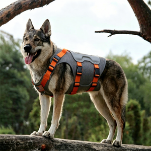 Soporte Ortopédico Moderno <span class=keywords><strong>para</strong></span> <span class=keywords><strong>Perros</strong></span>, Arnés de Soporte Espinal, Alivio del Dolor, Recuperación Postoperatoria de Disco Intervertebral, Chaleco Duradero - Product Image 5