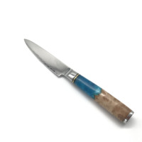 Personnalisation VG-10 ensemble de couteaux de chef en acier Damas manche en résine exquis