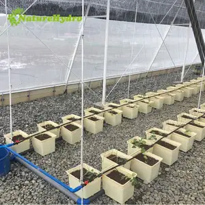 농업 온실 수경법 네덜란드 버킷 물방울 관개 시스템