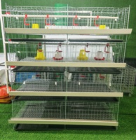 Cage à poussins galvanisée multicouche pour poulettes, conception à faible stress, sans bords tranchants, pour éleveurs locaux africains