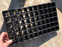 Machine de thermoformage plastique entièrement automatique faisant des cassettes pour les semis avec des trous