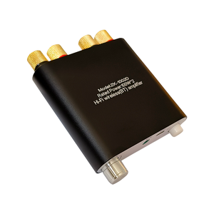 WUZHI 오디오 ZK-1002D HIFI 100W + 100W 스피커 오디오 앰프 보드 모듈 2.0 듀얼 채널 스테레오 음악 순수 음질 - Product Image 1