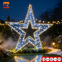 IP65 Outdoor LED Stern-Motiv-Beleuchtung für Weihnachtliche Gewerbliche Dekoration
