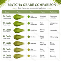 Poudre de Matcha de Haute Qualité, Grade Cérémonial Royal, Thé Vert Matcha pour Boissons et Gâteaux