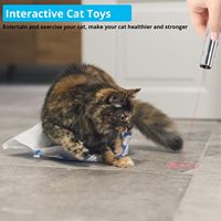 Puntatore Laser Interattivo 3-in-1 Multifunzionale in Metallo Moderno, Ricaricabile USB per Gioco e Addestramento di Cani e Gatti