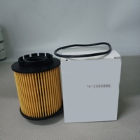 فلتر زيت YS الجديد 1612565980 مناسب لسيارات بيجو 3008 و408 و508 وسيتروين C4L وC5 بمحرك 1.6T THP، قطعة غيار لاستبدال فلتر الزيت
