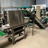 Automatische knoflookpeller voor grootschalig gebruik