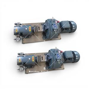 Pompe rotative à lobes sanitaire en acier inoxydable Ace pour le transfert de liquides à haute viscosité, tels que le shampoing et le chocolat - Product Image 4