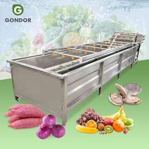 Machine de lavage et de nettoyage multifonctionnelle, commerciale, compacte, portable et haute performance pour fruits et légumes - Product Image 1