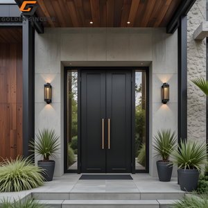 Porte d'entrée en acier inoxydable GS avec panneau en verre pour lumière naturelle - Product Image 6