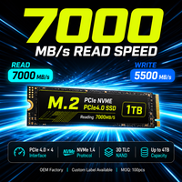 Nandstor Factory Custom M.2 SSD 1TB 2TB PCIe 4.0 NVMe 2280 Disque SSD interne haute performance rapide pour les joueurs et les créateurs