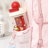 Bouteille d'eau en plastique de 550 ml avec paille et poignée, infuseur à thé, tasse portable, bouteille d'eau en plastique pour étudiants