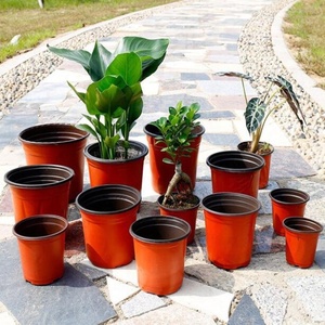 Fournitures de jardinage à domicile, plusieurs tailles, succulentes de pépinière, pot de fleurs en <span class=keywords><strong>plastique</strong></span> durable à double couleur pour transplantation - Product Image 3