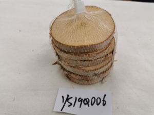 Legno di betulla - Product Image 6