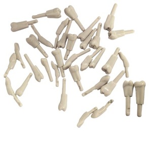 แบบจำลองฟันเรซิ่น KaVo สำหรับฝึกปฏิบัติทางทันตกรรมและการเตรียมฟัน - Product Image 1