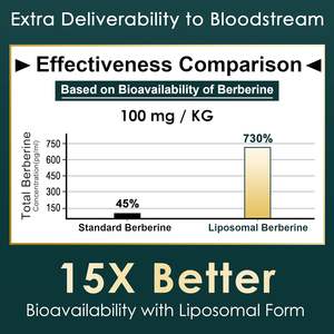 Gomitas Veganas de Berberina Liposomal de Alta Biodisponibilidad con Canela de Ceilán y Melón Amargo, Suplementos para el Equilibrio del Metabolismo - Product Image 5