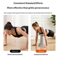 Appareil d'entraînement abdominal et de renforcement du tronc à ressort avec support de posture, fonction rebond pour pompes et capacité de 40 kg pour usage domestique