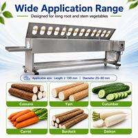 Automatische groenteschilmachine voor cassave, yam, wortel, komkommer, daikon, commerciële voedselverwerkingsapparatuur